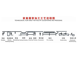 萬(wàn)寧家禽屠宰工藝流程當(dāng)前